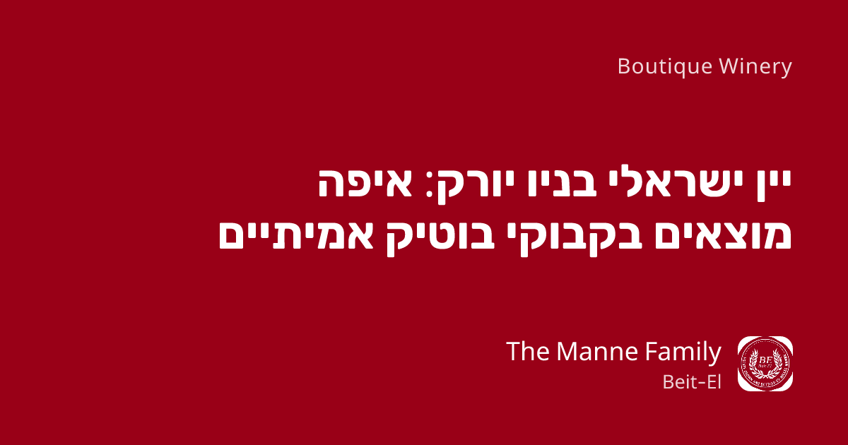 יין ישראלי בניו יורק: איפה מוצאים בקבוקי בוטיק אמיתיים