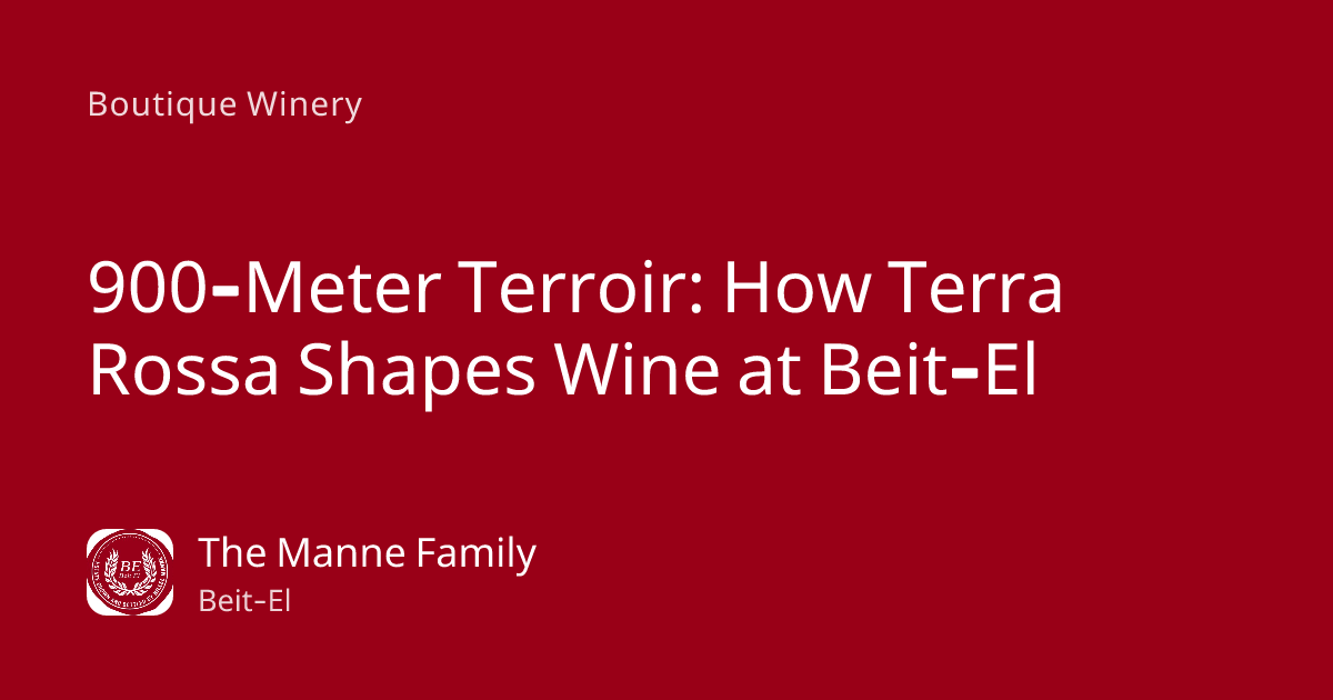 Terra Rossa Wine: How 900-Meter Terroir Shapes Beit-El