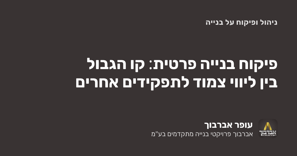פיקוח בנייה פרטית: קו הגבול בין ליווי צמוד לתפקידים אחרים