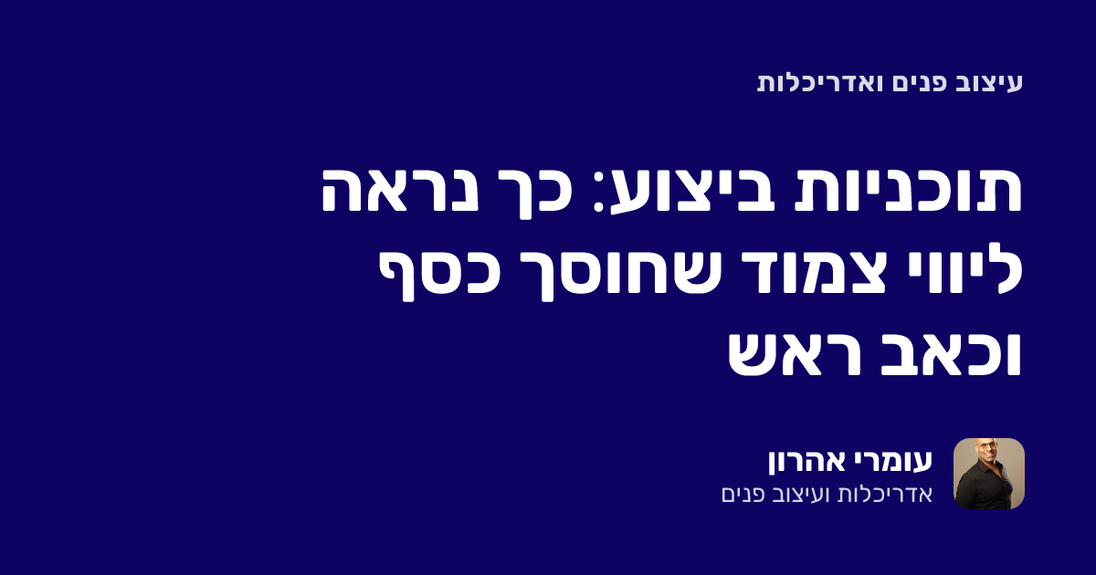 תוכניות ביצוע: כך נראה ליווי צמוד שחוסך כסף וכאב ראש