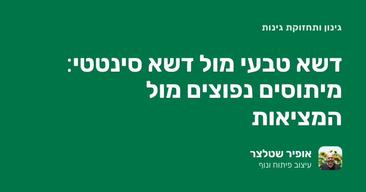 דשא טבעי מול דשא סינטטי: מיתוסים נפוצים מול המציאות