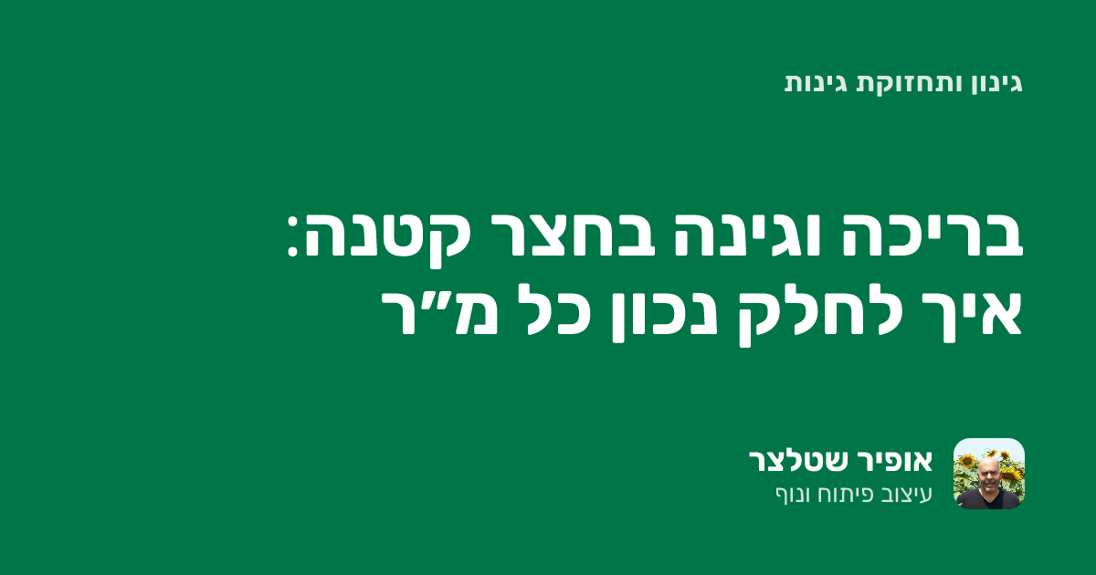 בריכה בחצר קטנה עם גינה: איך לחלק נכון כל מ״ר