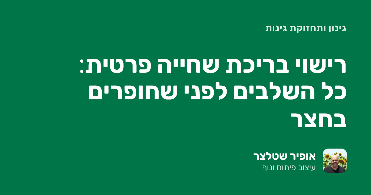 רישוי בריכת שחייה פרטית: כל השלבים לפני שחופרים בחצר