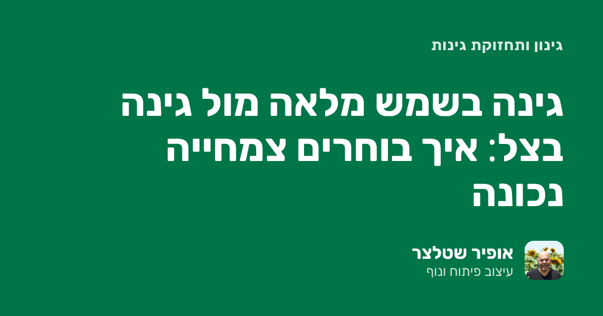תכנון גינה בשמש מלאה מול צל: איך בוחרים צמחייה נכונה