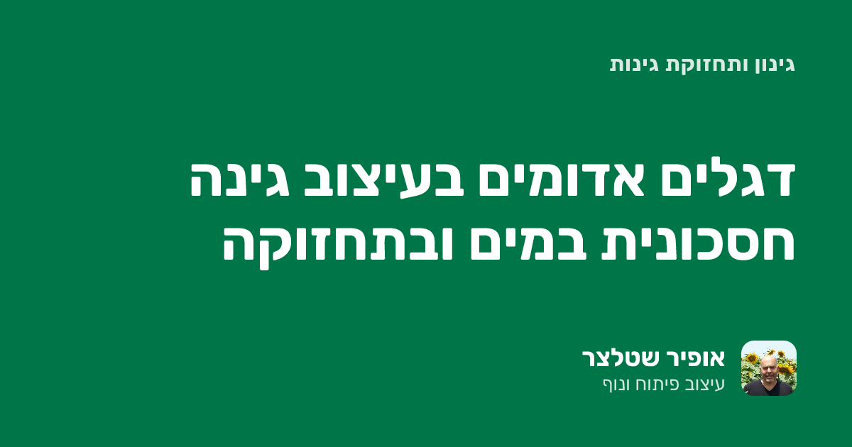 דגלים אדומים בעיצוב גינה חסכונית במים ובתחזוקה