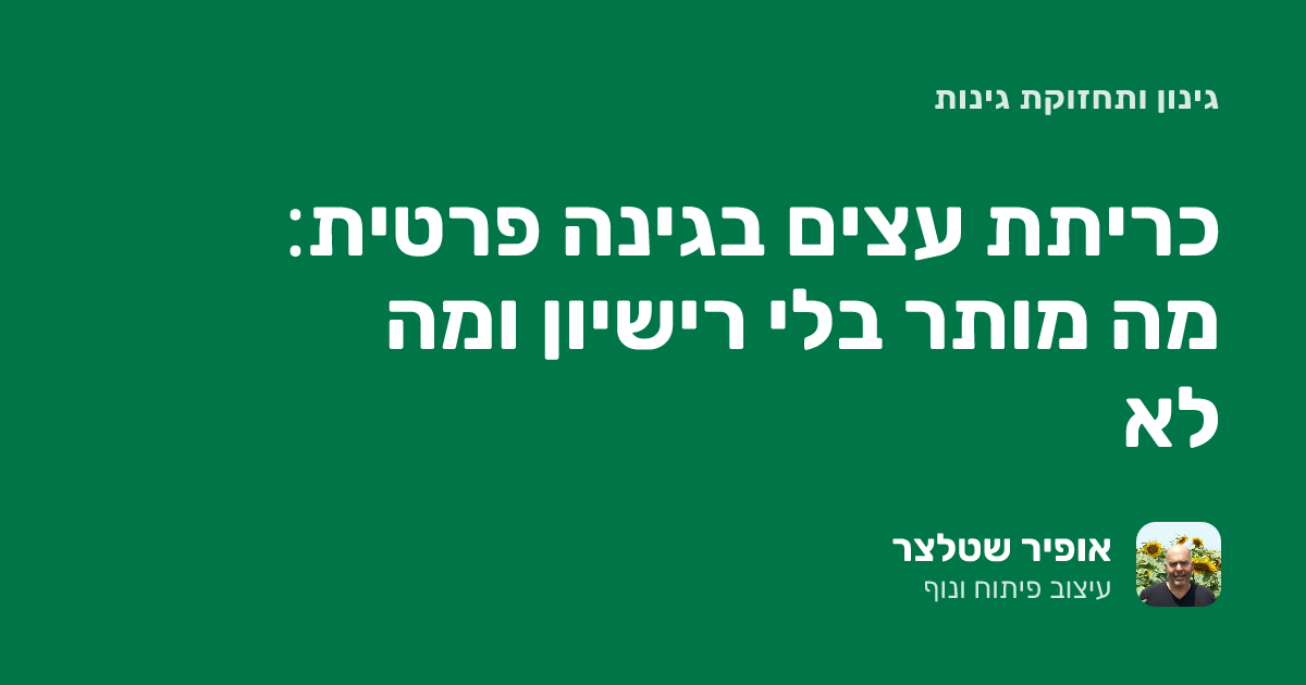 כריתת עצים בגינה פרטית: מה מותר בלי רישיון ומה לא