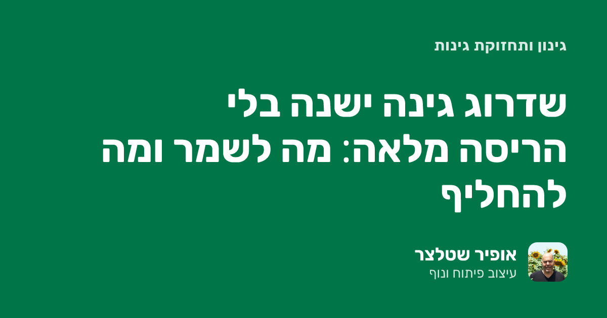 שדרוג גינה ישנה בלי הריסה מלאה: מה לשמר ומה להחליף